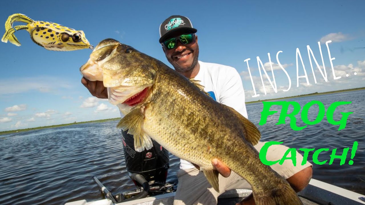 INSANE Frog Catch! Hand Lined GIANT Bass! Exploded Rod