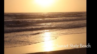 780 - Sunset State Beach