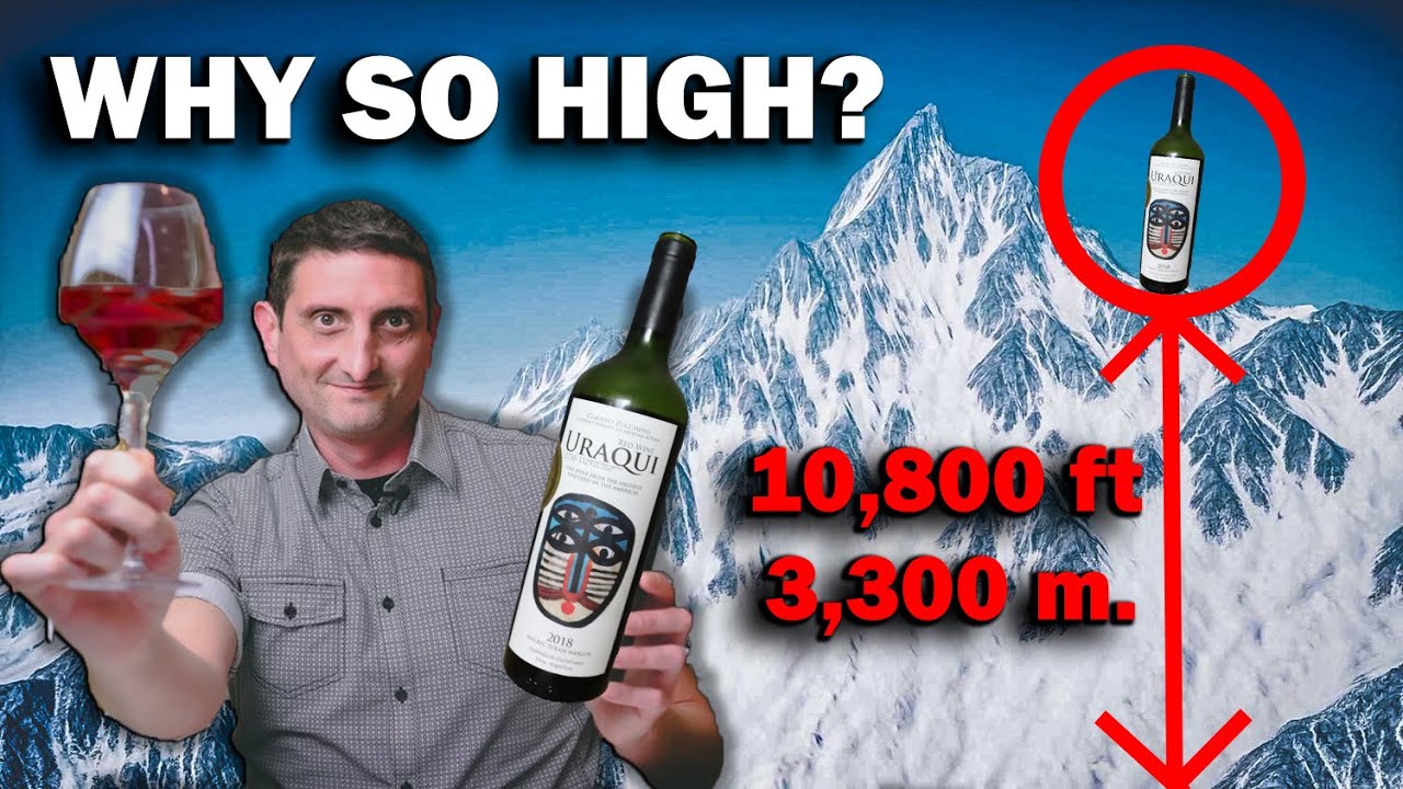 The HIGHEST WINE In The WORLD Is It GOOD YouTube The HIGHEST WINE In The WORLD Is It GOOD YouTube