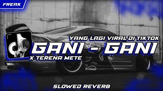 DJ GANI-GANI X TERENA VIRAL TIKTOK TERBARU 2023 (SLOWED & REVERB)