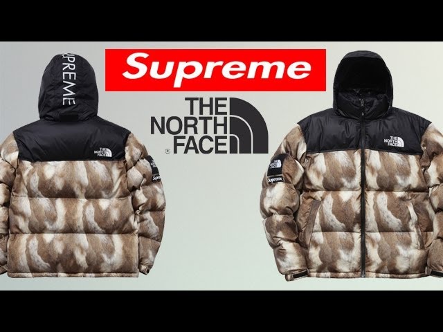The North Face x Supreme Fur Print Nuptse Review - YouTube