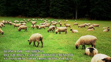 DƯỠNG LINH - Thi Thiên 23 – Đức Giê-hô-va Là Đấng Chăn Giữ Chúng Tôi