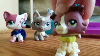 Questions For Qa Needed