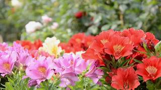 Lower Barn Farm Outdoor Specialists