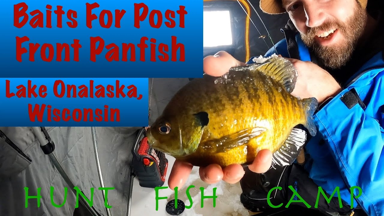 Two Baits That Catch Fish on Tough Days!