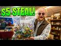 The $5 Auction STEAL That Every Other Reseller Missed!