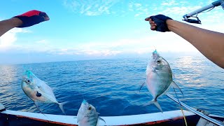 MANTAP !!! MAIN SABIKI/RINTAK DAPAT TARGET IKAN PUTIAN LAGI