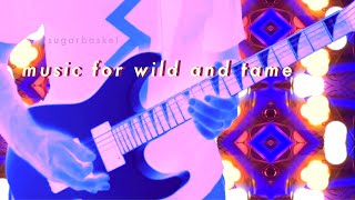 Music for wild and tame - modular synth and guitar