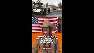 Kristi Noem calls ICE shooting in Minnesota an 'act of domestic terrorism'