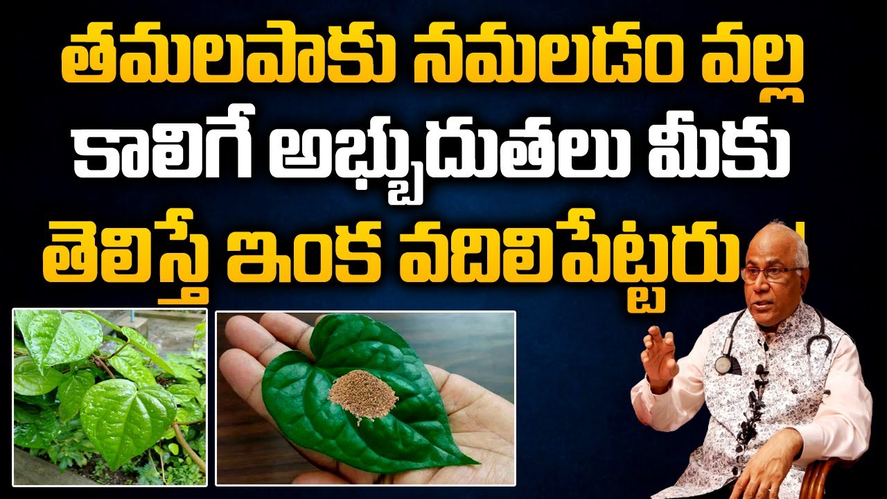 Amazing Health Benefits of Betel Leaves | tamalapaku uses | Betel Leaves | Yours Tv