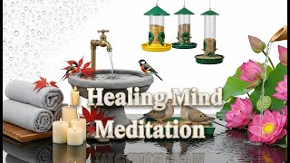 🕯️ Healing Mind Meditation | Soft Birdsong, Water Flow & Candlelight Relaxation#livestream screenshot 2