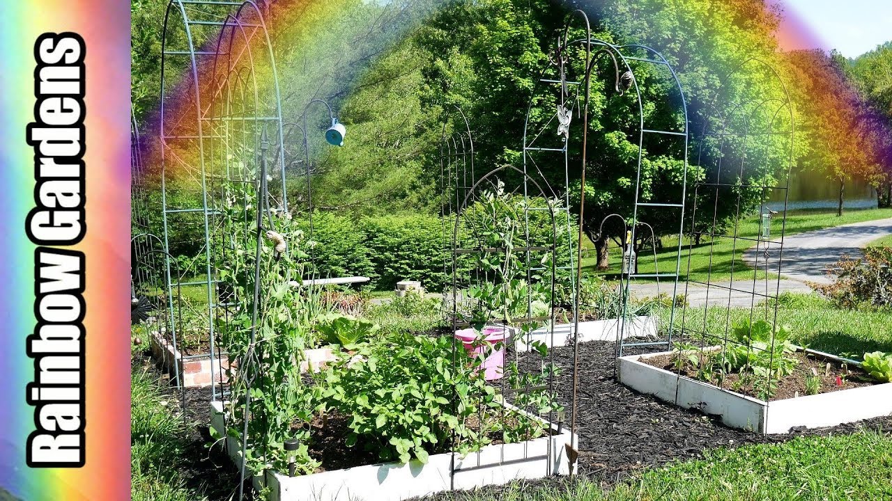 Rainbow Gardens Fasci Garden