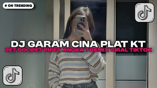 DJ GARAM CINA X VOICE IN MY HEAD PLAT KT - PET POLIPET PIPET ANGKA 7 REMIX VIRAL TIKTOK TERBARU 2025