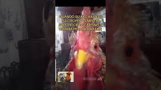 #meme #arcraiders #gaming #divertimento