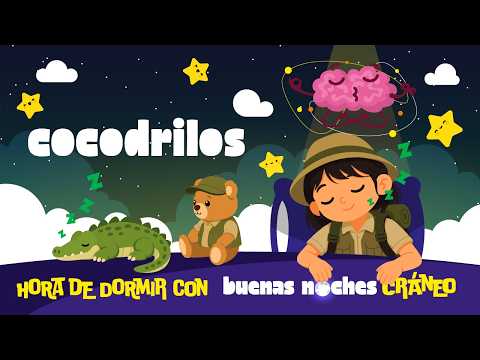 Cocodrilos (Fuerza y Calma)