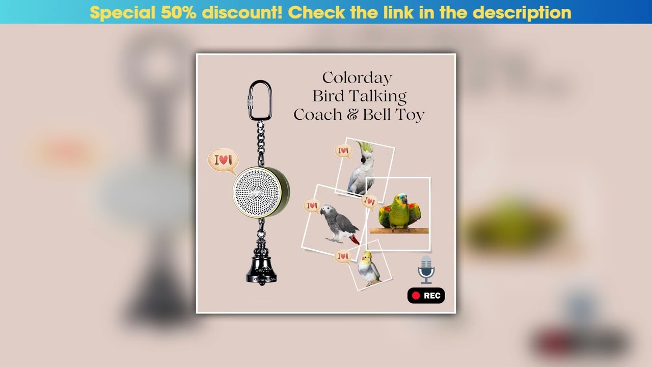 Get Parrot Toys to Teaching Training Bird Talking Coach Interactive Recording Playback Retell Elect