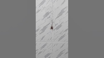 Best Example of Teamwork – Achieving More Together! #Teamwork #Collaboration #motivation