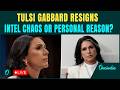 Tulsi Gabbard LIVE: Tulsi RESIGNS As BIG Iran Claim EXPOSED | Trump's Failure Finally Out