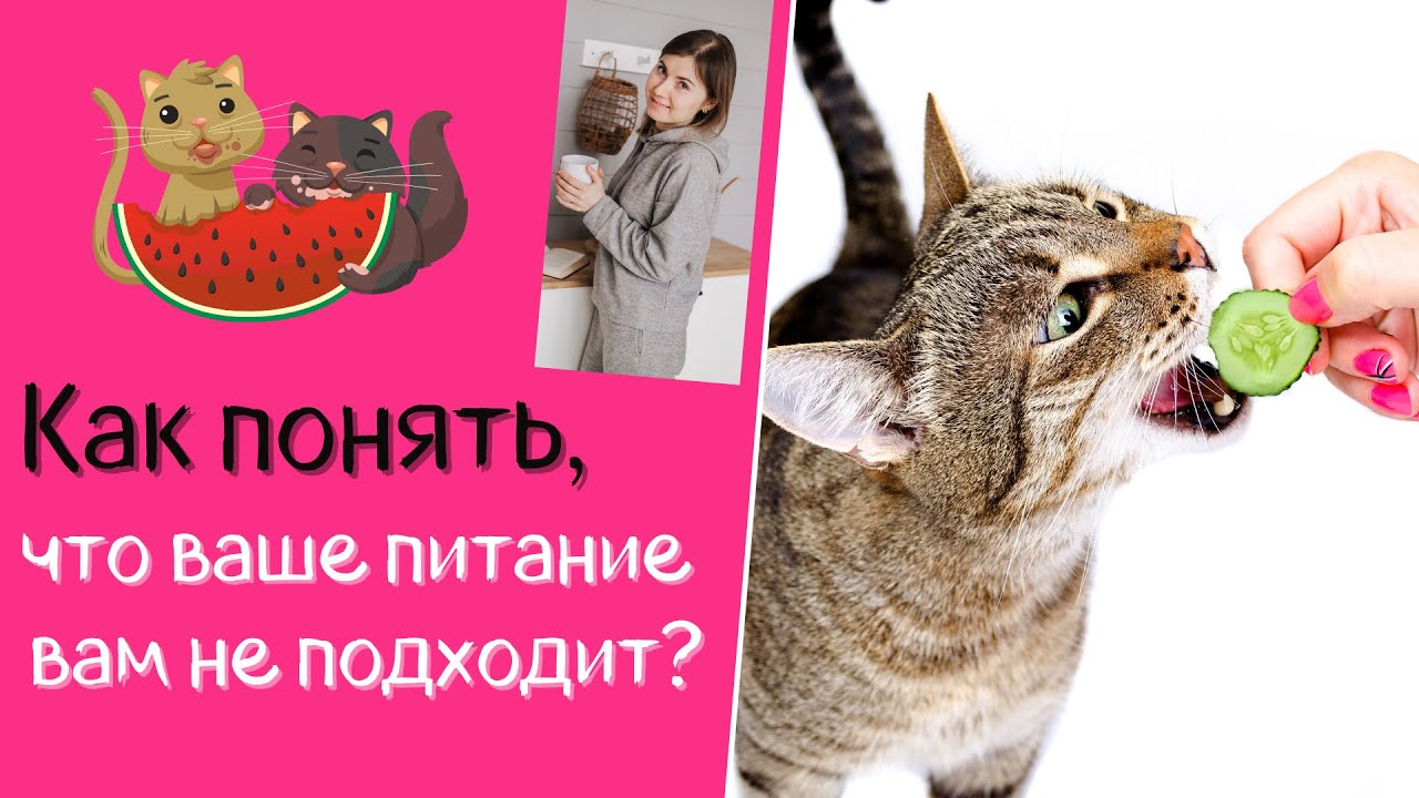 Как понять, что ваше питание вам не подходит?