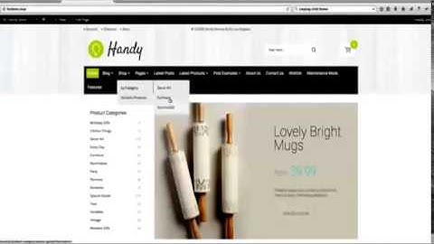 Configuring Navigation Menu with Handy Store WordPress WooCommerce theme