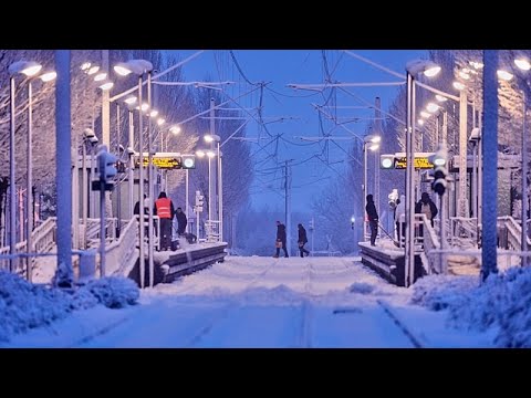 ����� ������ �� ��������� ���� ������� �� ���� ���� ������
 - نشر قبل 7 دقيقة