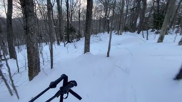 FlowFrame AI frame interpolation side by side slowmo comparison