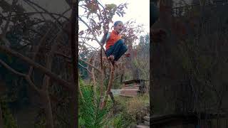 Comedy shorts with realfool viral comedy