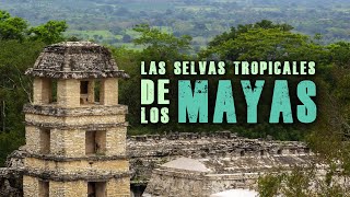 Las Selvas Tropicales de los Mayas