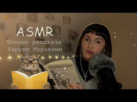ASMR | Читаю Мураками перед сном🌙🐾