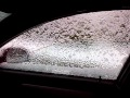 ice windows on the car