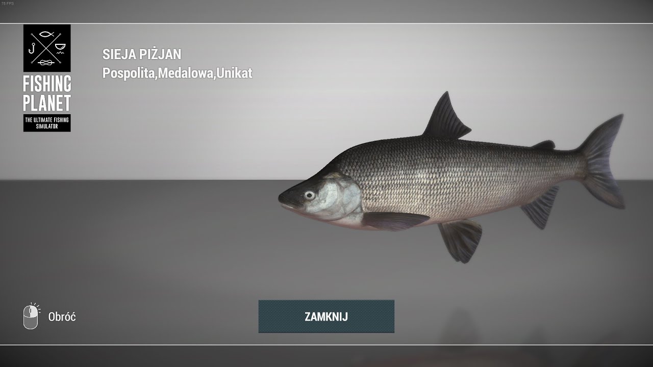 Fishing Planet Selenge River Mongolia Unique Humpback Whitefish | Unikatowa Sieja Piżjan