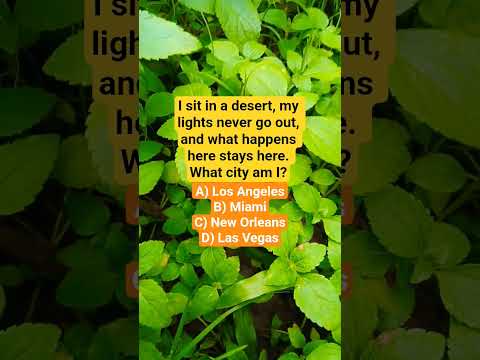 What city am I?