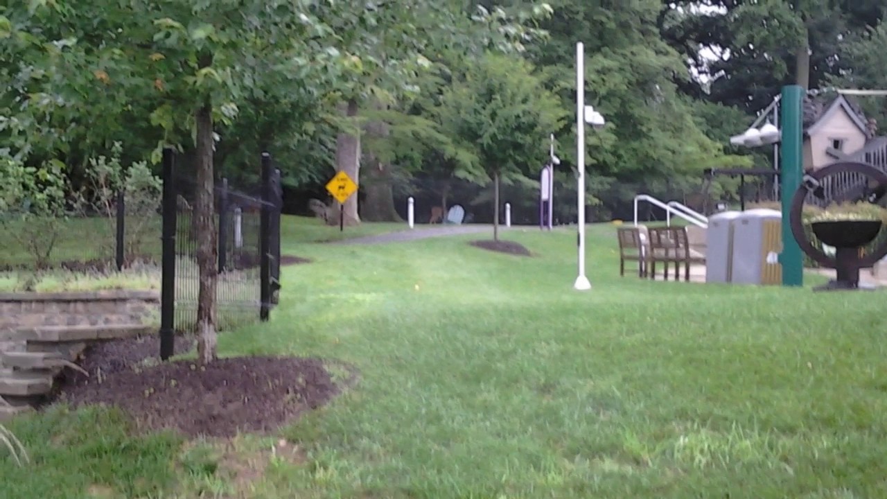 Crazy deer ): 