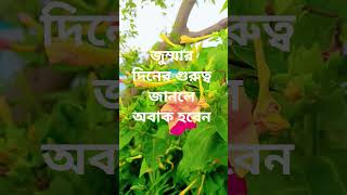 জুম্মার দিনের গুরুত্ব জানলে অবাক হবেন #jummamubarak