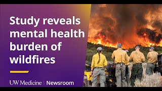 Study reveals mental health burden of wildfires | UW Medicine