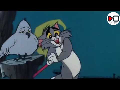 مهرجان حبي اللي كنت بحبه قلبي عايز صرمة