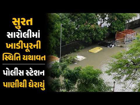 #surat | સારોલીમાં ખાડીપૂરની સ્થિતિ યથાવત | #drashtikonnews