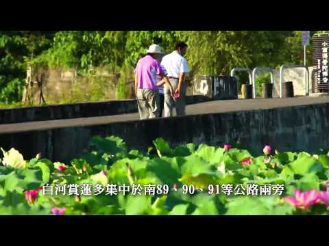 2011台南白河蓮花節