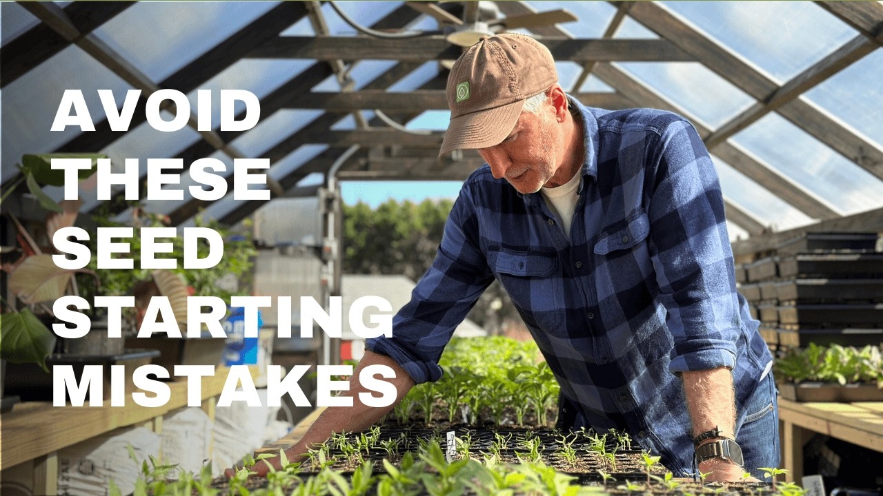 Неудачные попытки посева семян: 5 ошибок и что делать вместо этого.