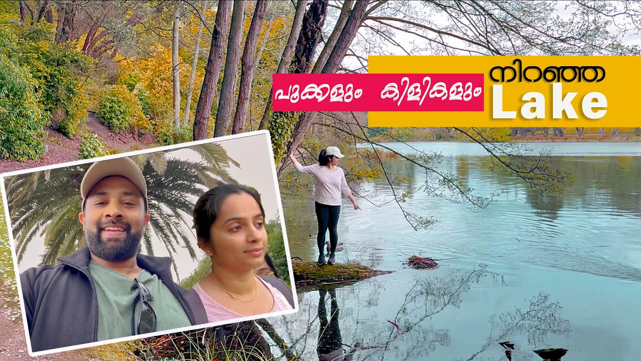 മനോഹരമായ തടാകത്തിനരികിലൂടെ ഒരു നടത്തം | New Zealand Malayalam Vlog  