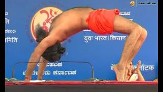 Yog Diksha Shivir: Swami Ramdev | Yelahanka New Town, Bengaluru | 26 March 2016 (Part 1) screenshot 4