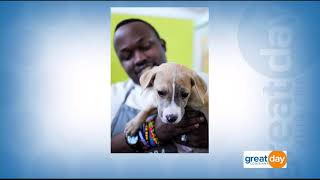 How to Get Involved with the Louisiana SPCA