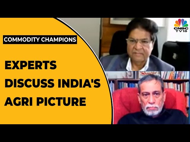 Kharif Sowing Impacted, Paddy Sowing Area Down & More Experts Discuss | Commodity Champions