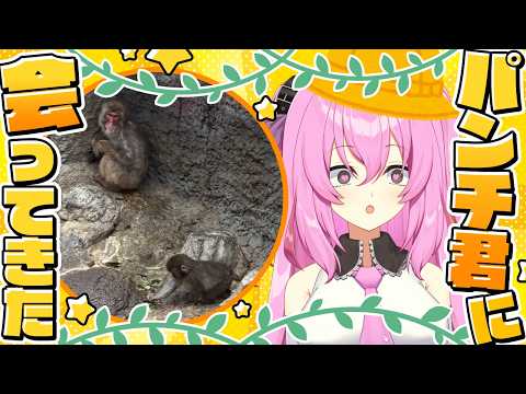 お猿のパンチくんに会ってきた　【市川市動植物園】