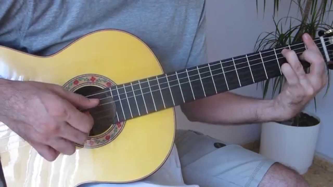 GUITARRA ESPAÑOLA JUAN MONTES FLAMENCA NEGRA -  EBANO VERDE CIRICOTE