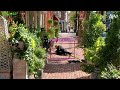 AI Based Fall Detection System | Person Fall Detection | Safety Monitoring | Ai Protect
