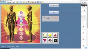 Bioresonance Classes and Certifications GODS miracles with ISHA Aura Commandments