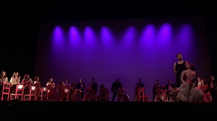 G. Bizet  - Habanera - Claudia Yaez - Mezzosoprano