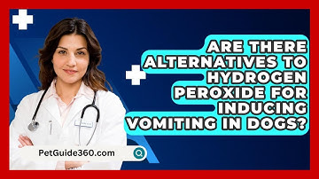 Are There Alternatives To Hydrogen Peroxide For Inducing Vomiting In Dogs? - PetGuide360.com