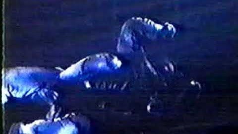 Tool Pushit Live: Maynard Fights Fan